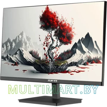 Монитор RDW Computers RDW2401K картинка 2
